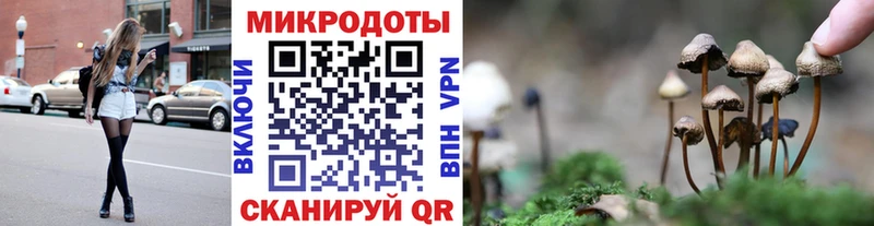 дарнет шоп  Тогучин  Галлюциногенные грибы GOLDEN TEACHER 