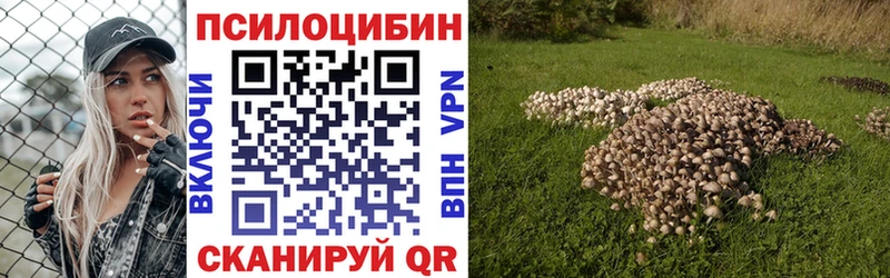 Псилоцибиновые грибы Magic Shrooms Тогучин